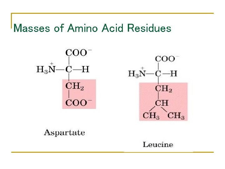 Masses of Amino Acid Residues 