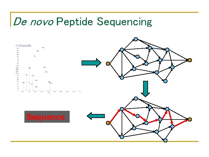 De novo Peptide Sequencing Sequence 