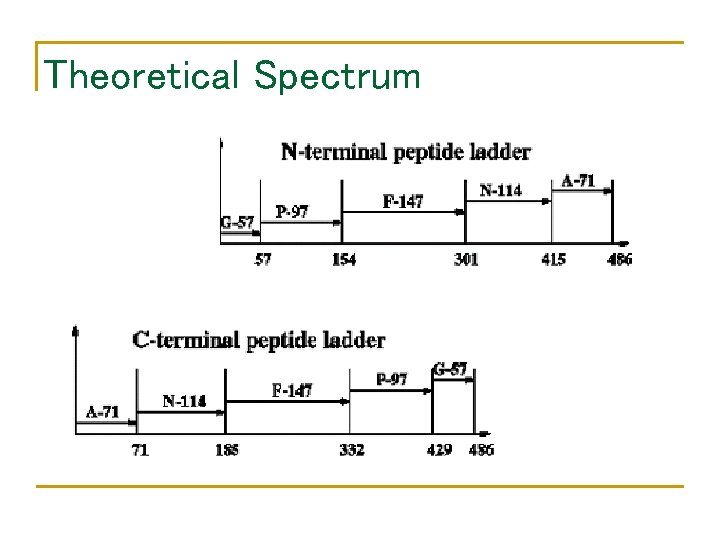 Theoretical Spectrum 