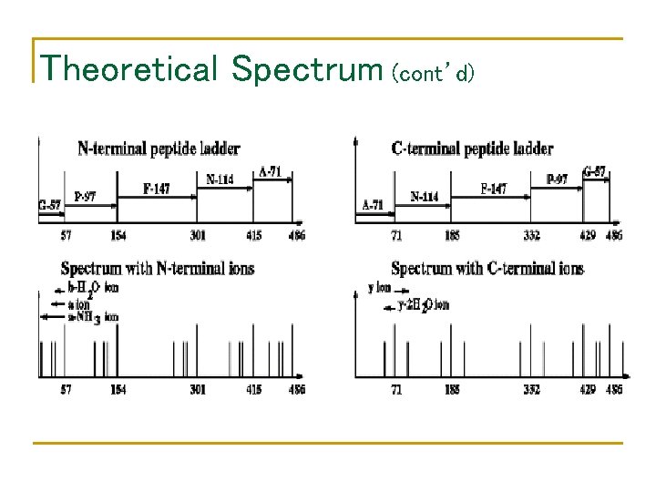 Theoretical Spectrum (cont’d) 