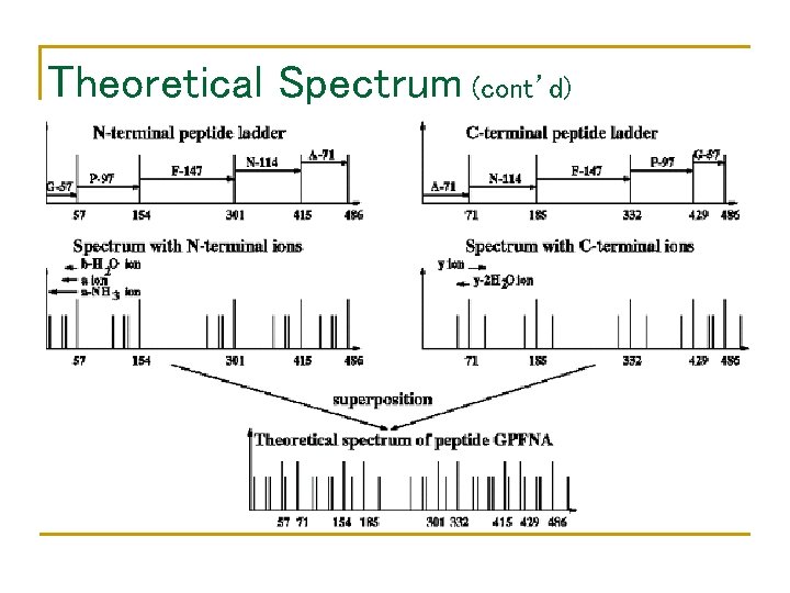 Theoretical Spectrum (cont’d) 