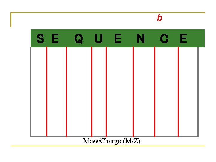 b S E Q U E N Mass/Charge (M/Z) C E 