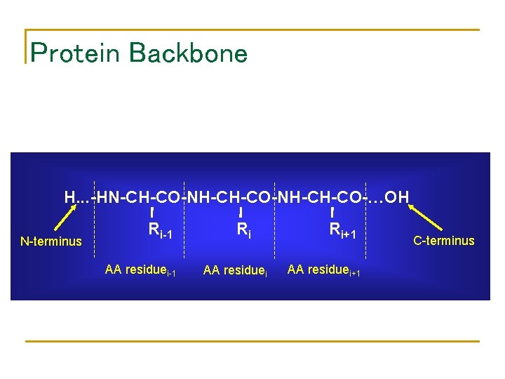 Protein Backbone H. . . -HN-CH-CO-NH-CH-CO-…OH N-terminus Ri-1 AA residuei-1 Ri AA residuei Ri+1