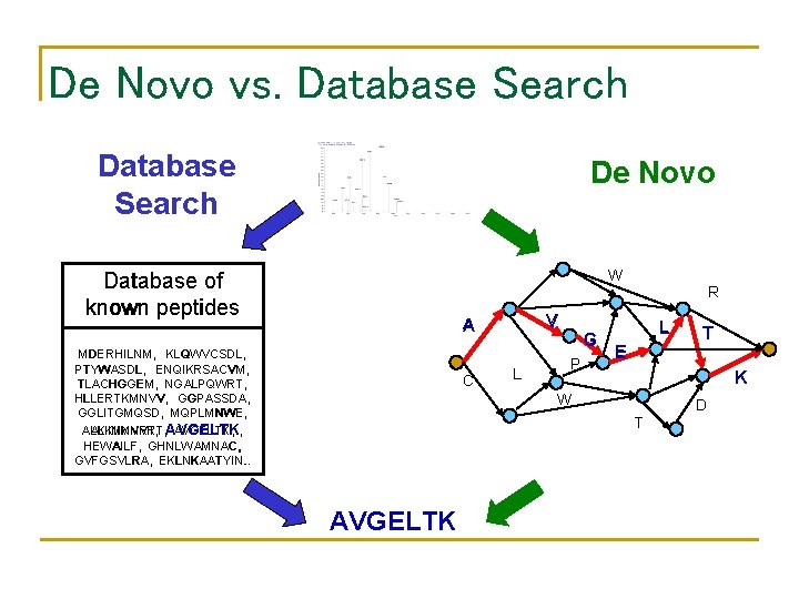 De Novo vs. Database Search De Novo W Database of known peptides V A