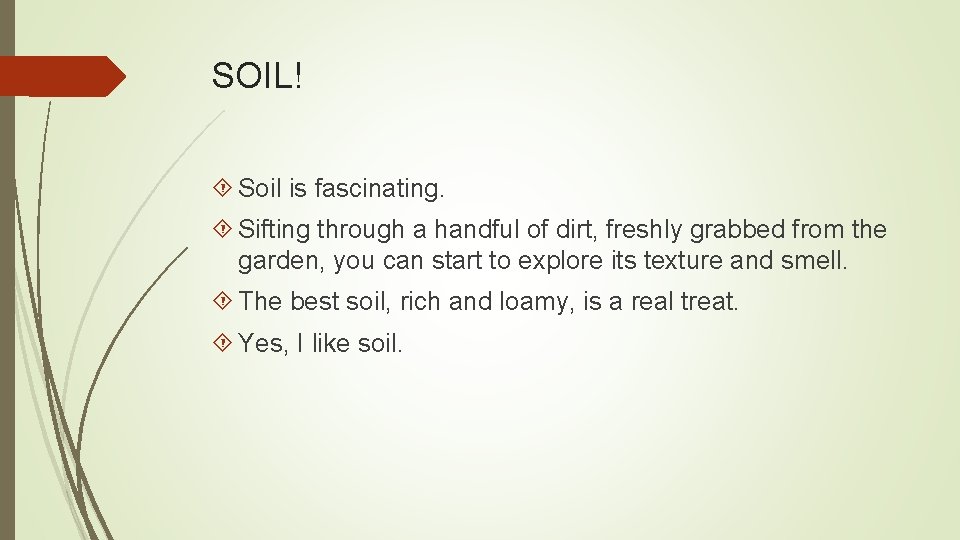 SOIL! Soil is fascinating. Sifting through a handful of dirt, freshly grabbed from the