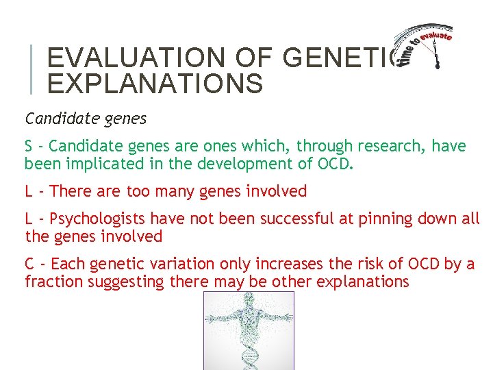 EVALUATION OF GENETIC EXPLANATIONS Candidate genes S - Candidate genes are ones which, through