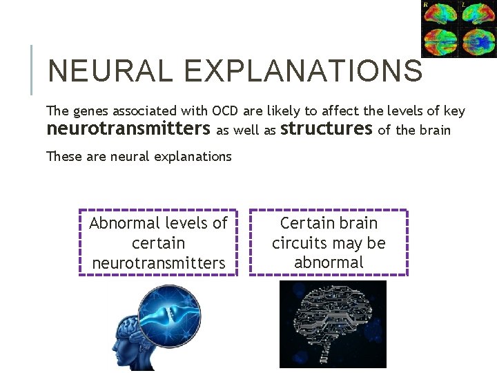 NEURAL EXPLANATIONS The genes associated with OCD are likely to affect the levels of