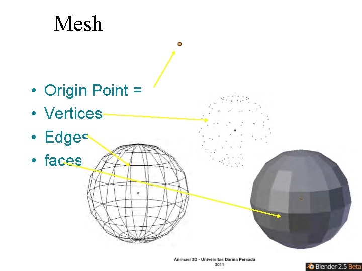 Mesh • • Origin Point = Vertices Edges faces 