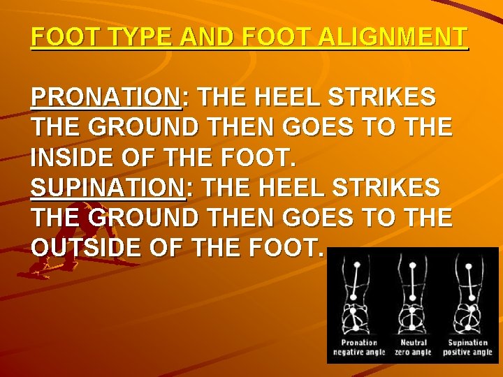 FOOT TYPE AND FOOT ALIGNMENT PRONATION: THE HEEL STRIKES THE GROUND THEN GOES TO