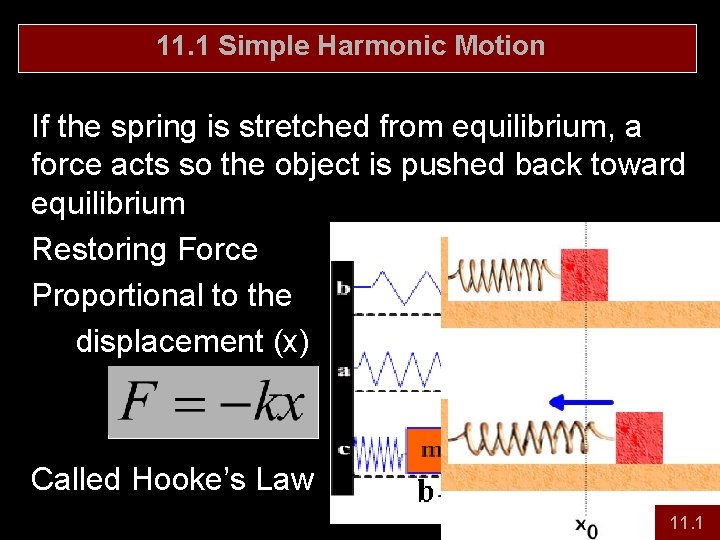 11. 1 Simple Harmonic Motion If the spring is stretched from equilibrium, a force