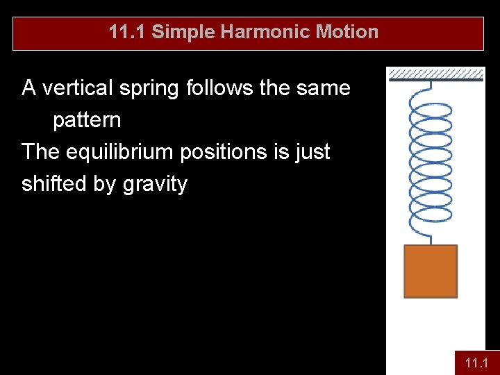 11. 1 Simple Harmonic Motion A vertical spring follows the same pattern The equilibrium