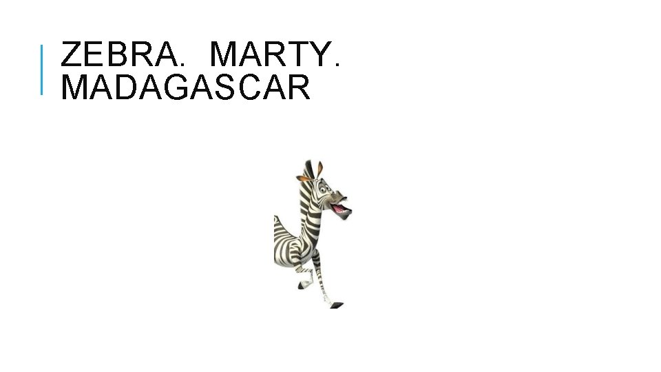 ZEBRA. MARTY. MADAGASCAR 
