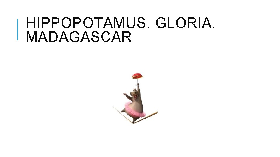 HIPPOPOTAMUS. GLORIA. MADAGASCAR 