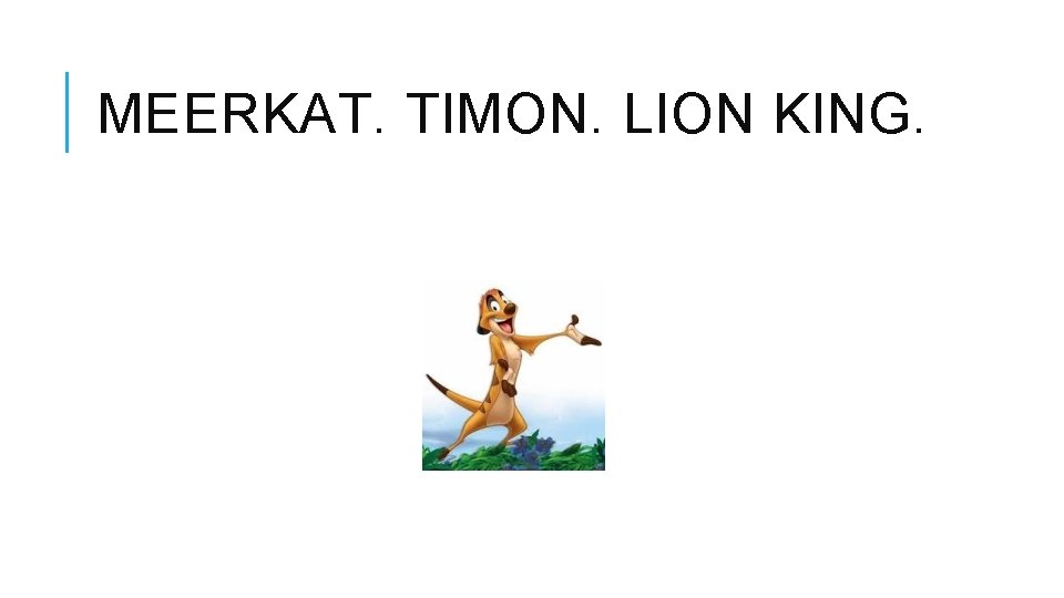 MEERKAT. TIMON. LION KING. 