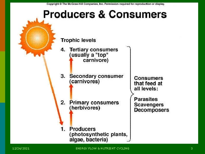 12/26/2021 ENERGY FLOW & NUTRIENT CYCLING 3  12/26/2021 ENERGY FLOW & NUTRIENT CYCLING 3