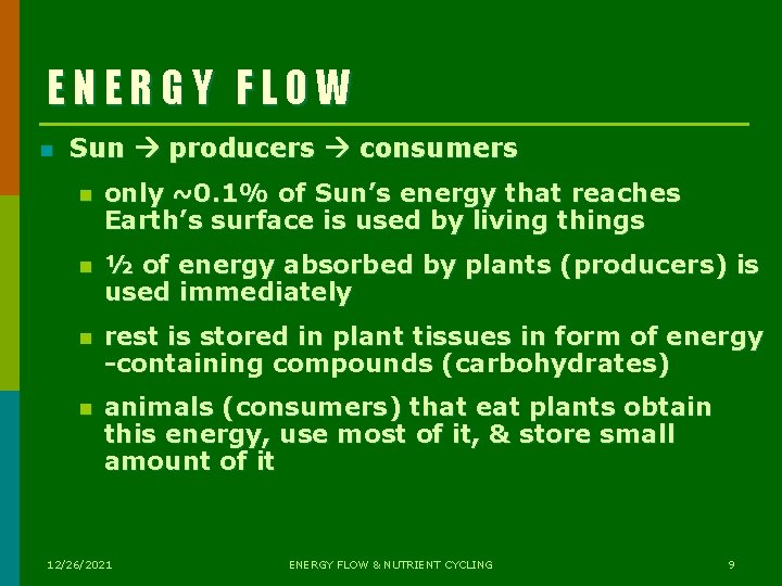ENERGY FLOW n Sun producers consumers n only ~0. 1% of Sun’s energy that ENERGY FLOW n Sun producers consumers n only ~0. 1% of Sun’s energy that