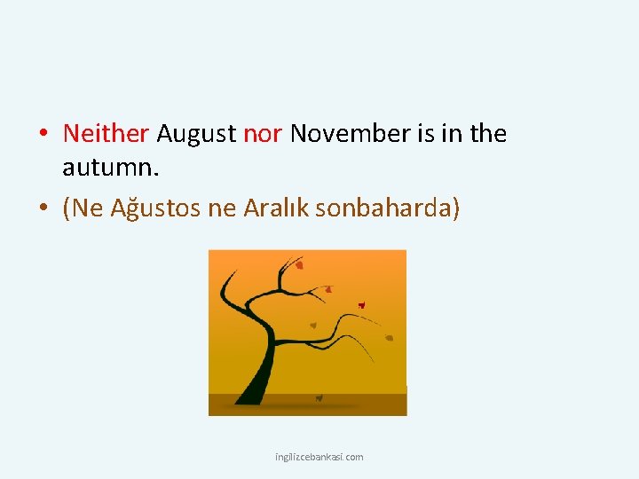  • Neither August nor November is in the autumn. • (Ne Ağustos ne