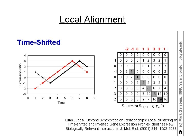 Time-Shifted Qian J. et al. Beyond Synexpression Relationships: Local clustering of Time-shifted and Inverted