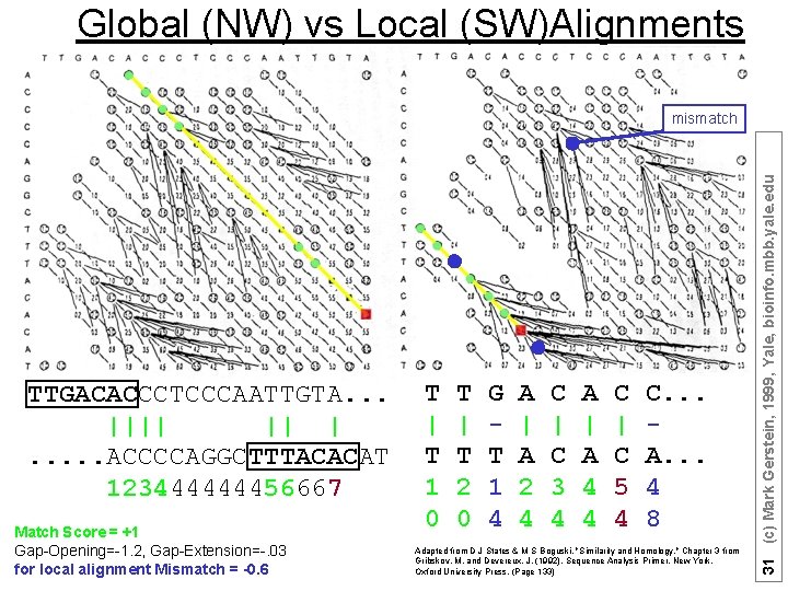 Global (NW) vs Local (SW)Alignments TTGACACCCTCCCAATTGTA. . . |||| || |. . . ACCCCAGGCTTTACACAT