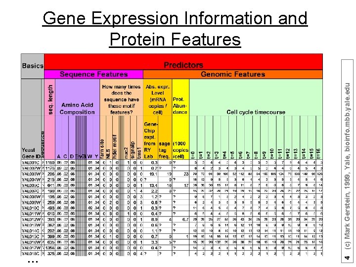 … 4 (c) Mark Gerstein, 1999, Yale, bioinfo. mbb. yale. edu Gene Expression Information