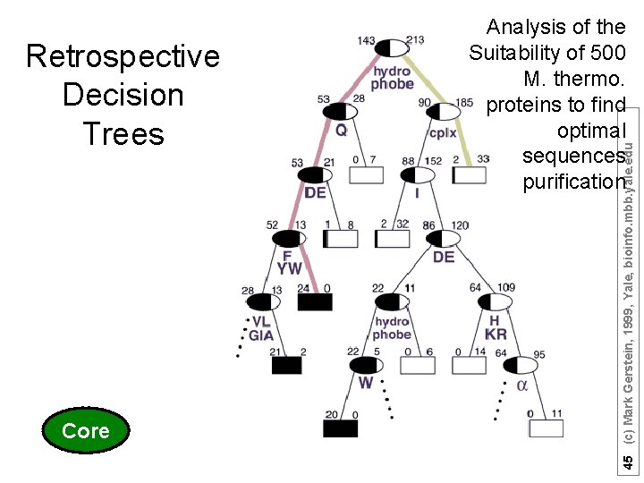Core 45 (c) Mark Gerstein, 1999, Yale, bioinfo. mbb. yale. edu Retrospective Decision Trees