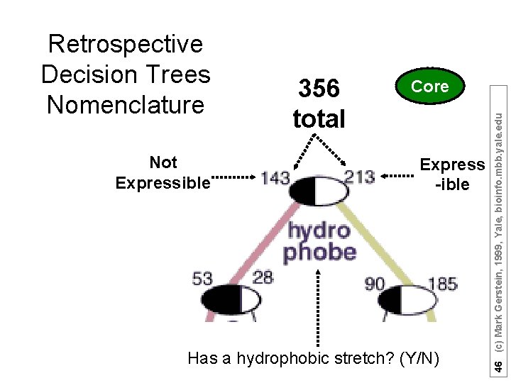 Not Expressible 356 total Core Express -ible Has a hydrophobic stretch? (Y/N) 46 (c)