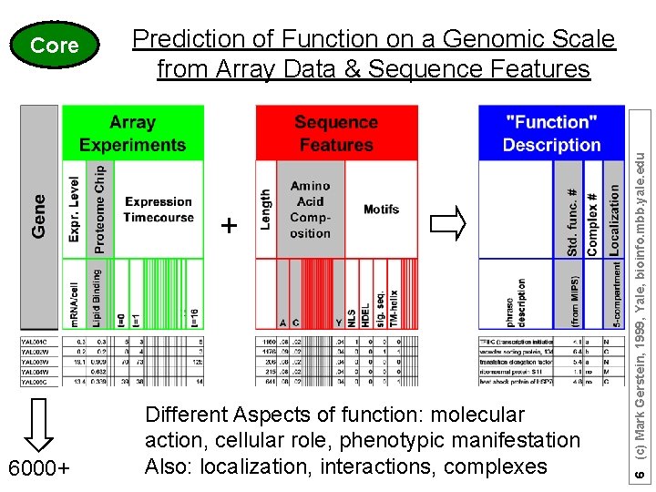 Prediction of Function on a Genomic Scale from Array Data & Sequence Features +