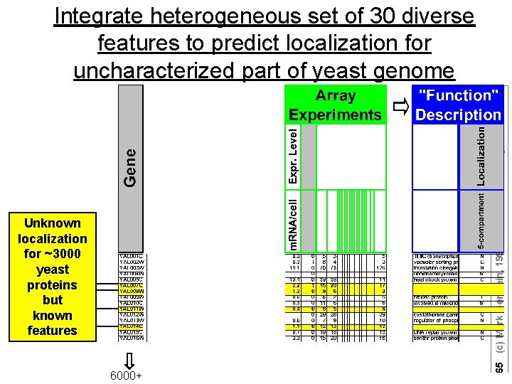 Unknown localization for ~3000 yeast proteins but known features 6000+ 65 (c) Mark Gerstein,