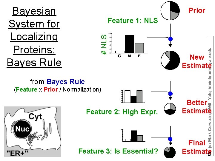 Bayesian System for Localizing Proteins: Bayes Rule Prior from Bayes Rule (Feature x Prior