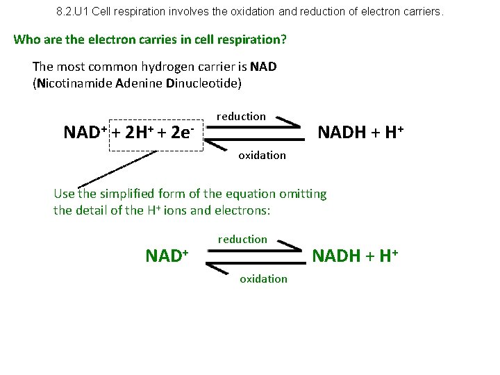 8. 2. U 1 Cell respiration involves the oxidation and reduction of electron carriers.