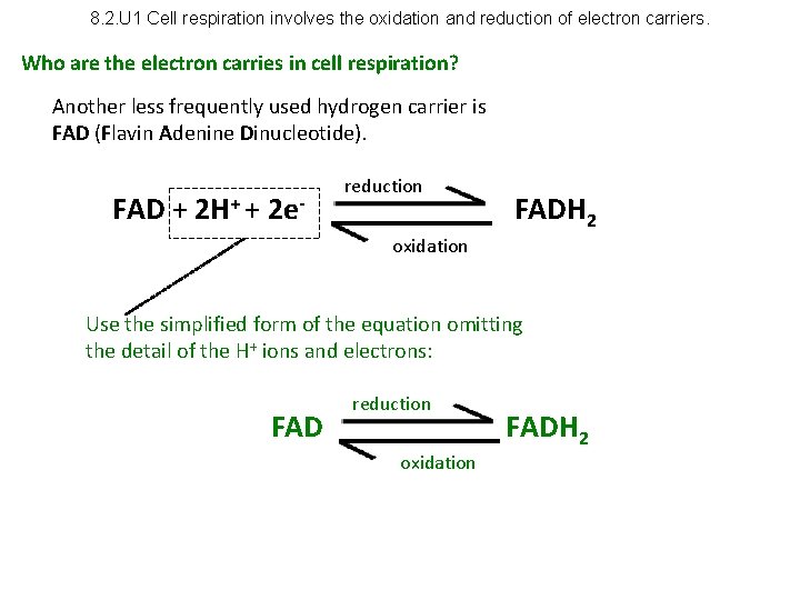 8. 2. U 1 Cell respiration involves the oxidation and reduction of electron carriers.