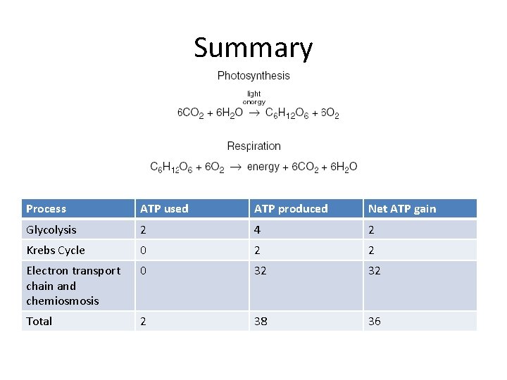 Summary Process ATP used ATP produced Net ATP gain Glycolysis 2 4 2 Krebs