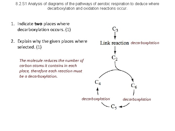 8. 2. S 1 Analysis of diagrams of the pathways of aerobic respiration to