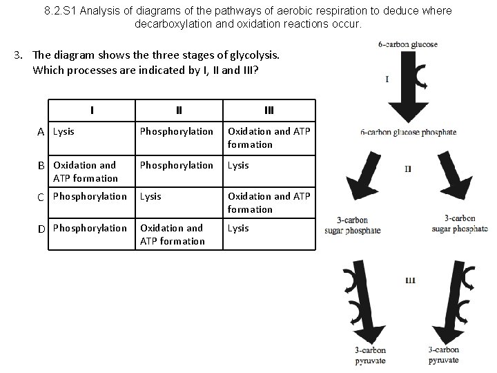 8. 2. S 1 Analysis of diagrams of the pathways of aerobic respiration to