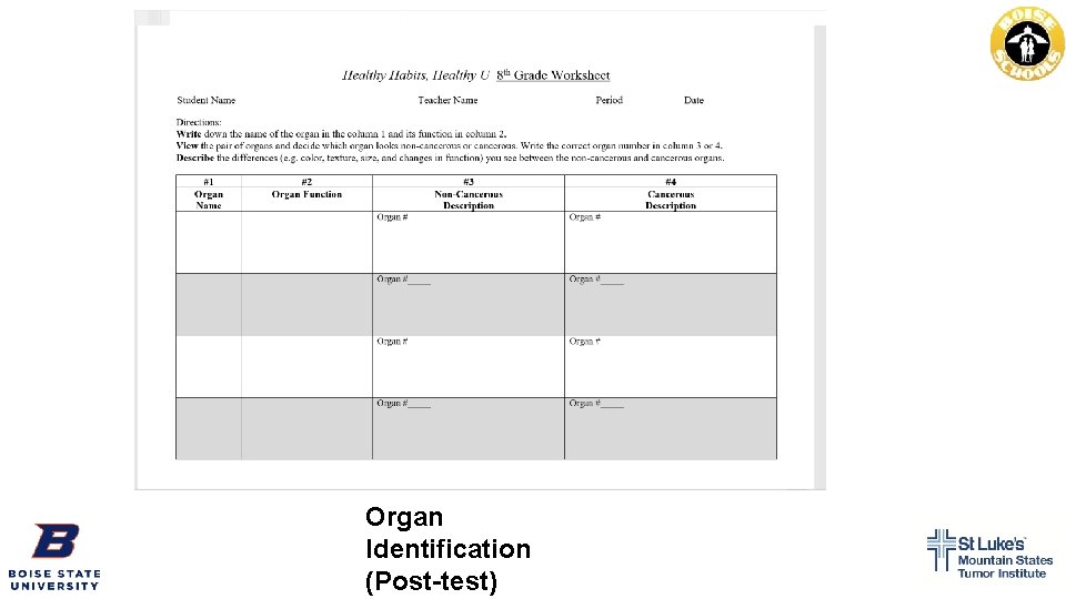 Organ Identification (Post-test) 