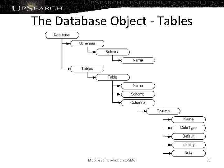 The Database Object - Tables Module 2: Introduction to SMO 23 