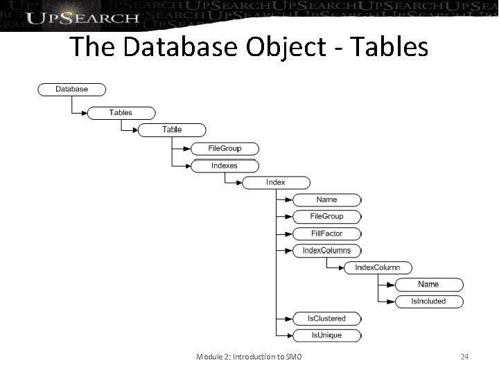 The Database Object - Tables Module 2: Introduction to SMO 24 