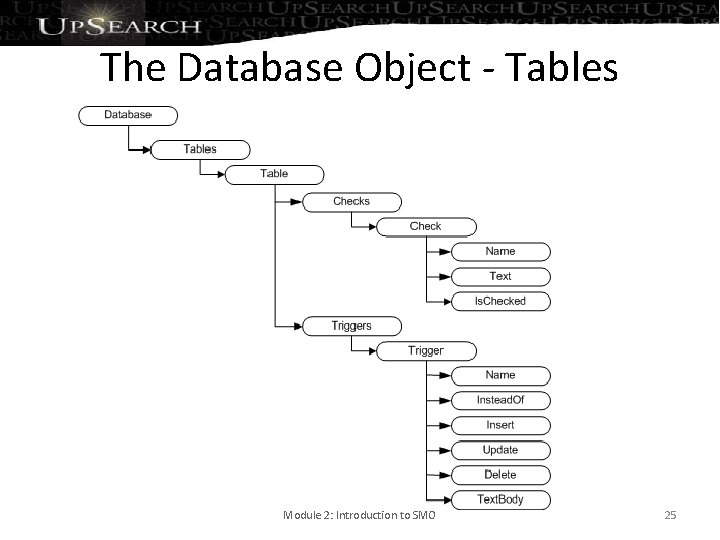 The Database Object - Tables Module 2: Introduction to SMO 25 