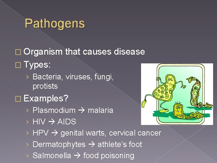 Pathogens � Organism that causes disease � Types: › Bacteria, viruses, fungi, protists �