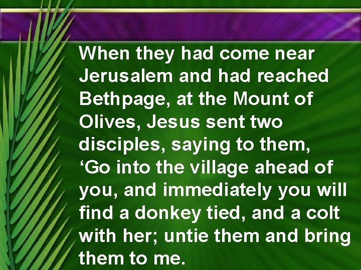 When they had come near Jerusalem and had reached Bethpage, at the Mount of