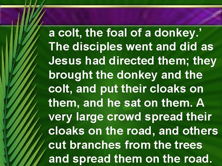 a colt, the foal of a donkey. ’ The disciples went and did as