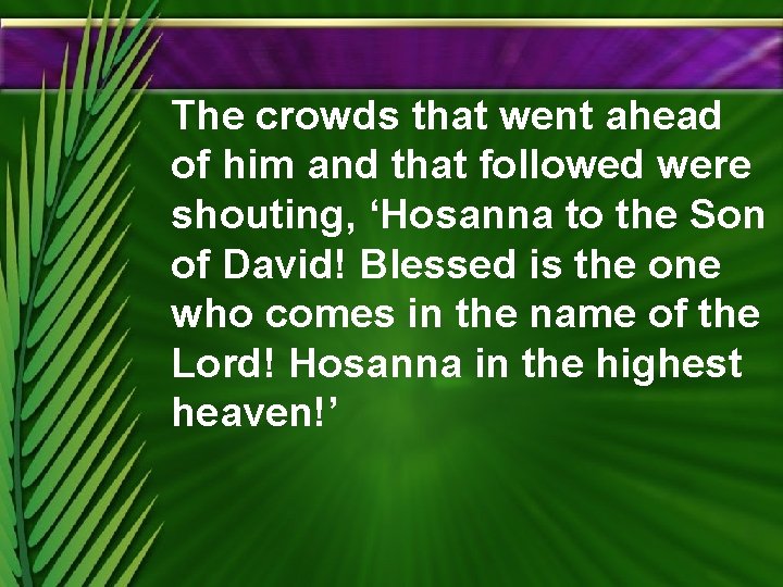 The crowds that went ahead of him and that followed were shouting, ‘Hosanna to
