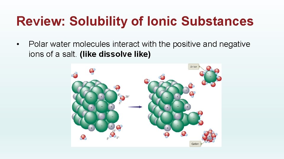 Review: Solubility of Ionic Substances • Polar water molecules interact with the positive and