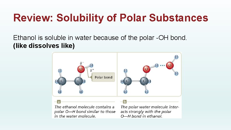 Review: Solubility of Polar Substances Ethanol is soluble in water because of the polar
