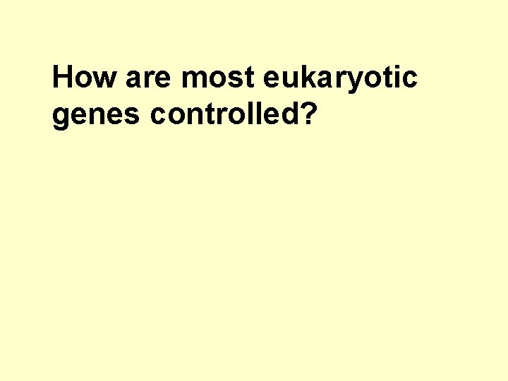 How are most eukaryotic genes controlled? 