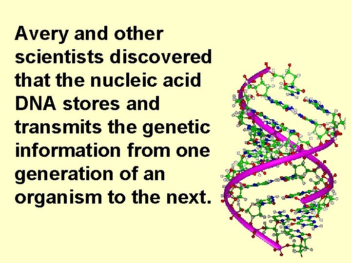 Avery and other scientists discovered that the nucleic acid DNA stores and transmits the