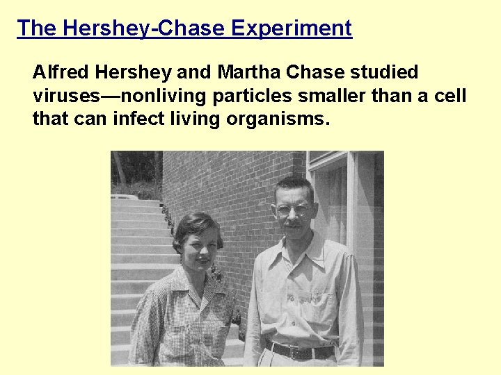 The Hershey-Chase Experiment Alfred Hershey and Martha Chase studied viruses—nonliving particles smaller than a