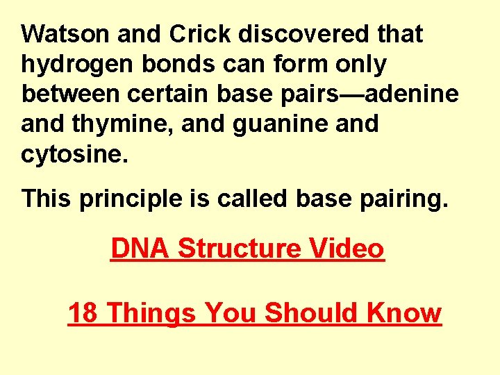 Watson and Crick discovered that hydrogen bonds can form only between certain base pairs—adenine