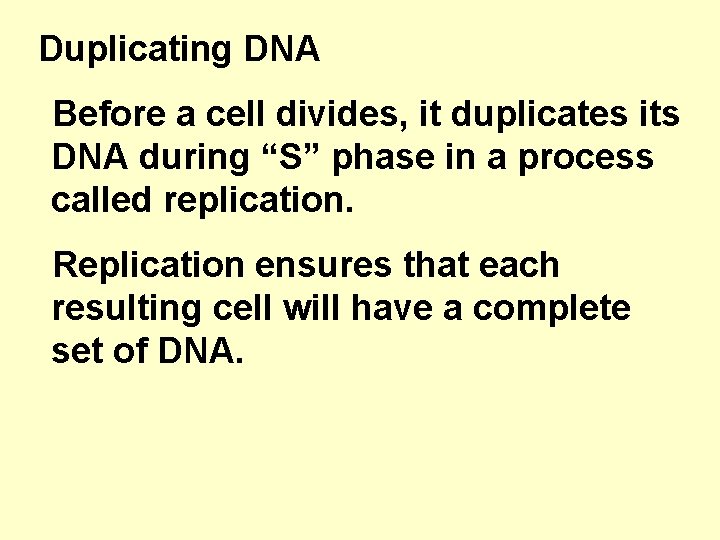 Duplicating DNA Before a cell divides, it duplicates its DNA during “S” phase in