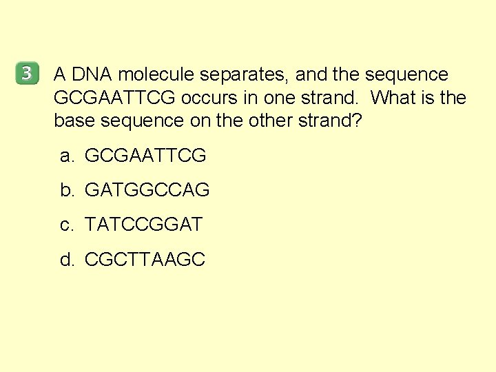 A DNA molecule separates, and the sequence GCGAATTCG occurs in one strand. What is